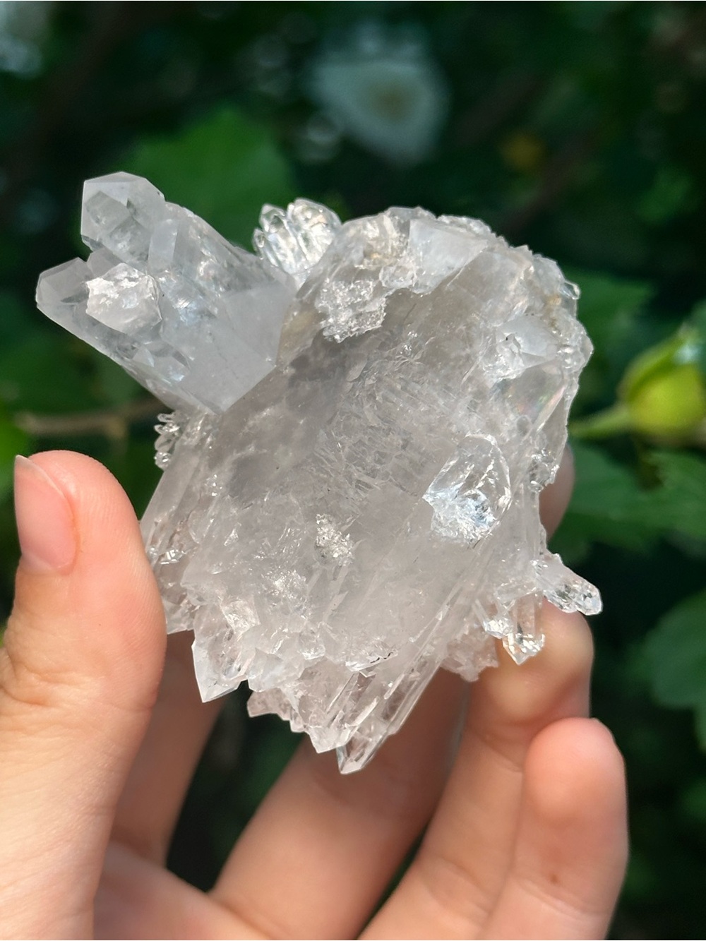 Arkansas Grey Lithium Quartz Cluster 🫧🩶🫧 ALQ7